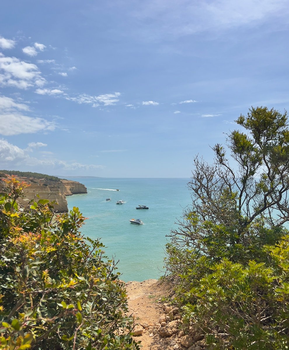 a body of water with boats in it and trees around it