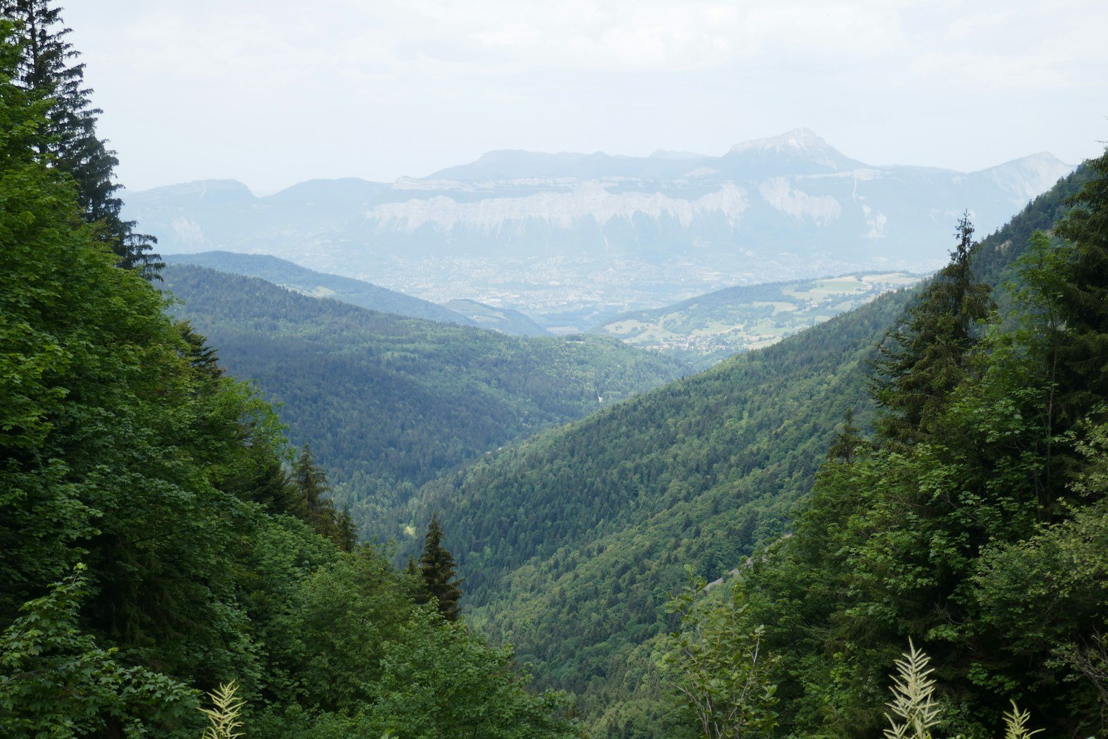 A green valley leads to distant mountains.