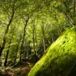 Weekend Valtellina Yoga