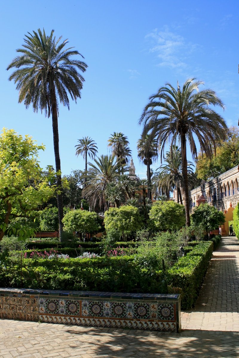 green palm trees near brown concrete building during daytime