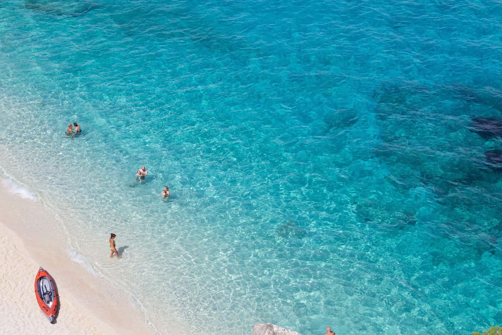 people on beach during daytime