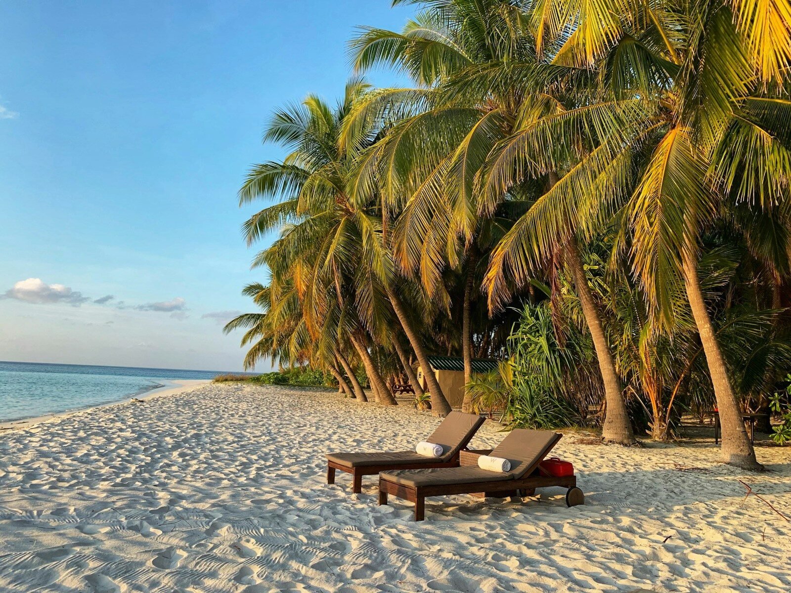Two wooden lounge chairs on a white sand beach under palm trees
